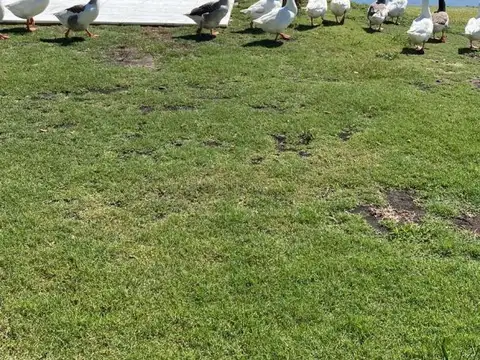 Venta de Casa de 3 dormitorios en Club de Campo La Faustina, en Brandsen