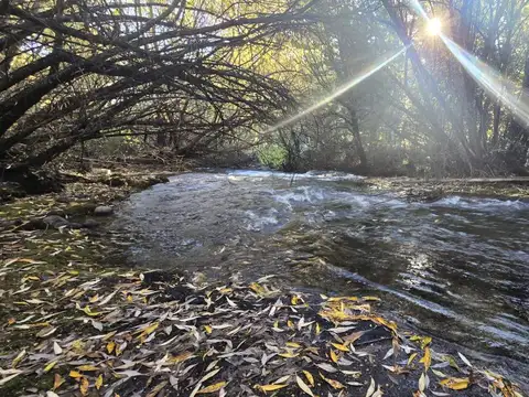 RIO LOS REPOLLOS 100