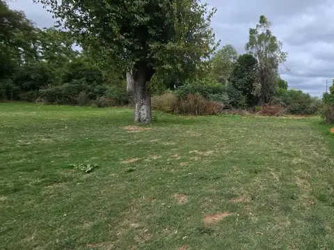Terreno en Alquiler en Mercedes, USD 5.000