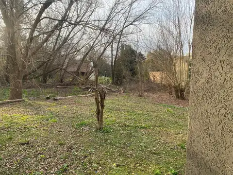 CASA EN ALQUILER DE 3 AMBIENTES