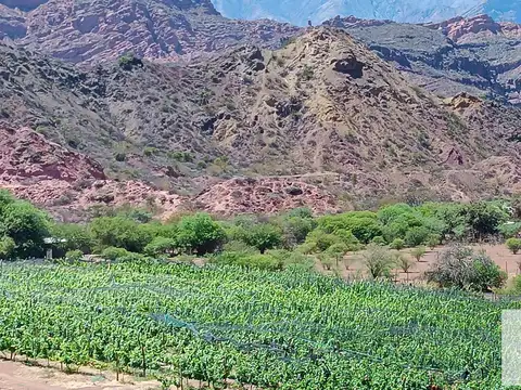 Ruta Nacional 68 - KM 66