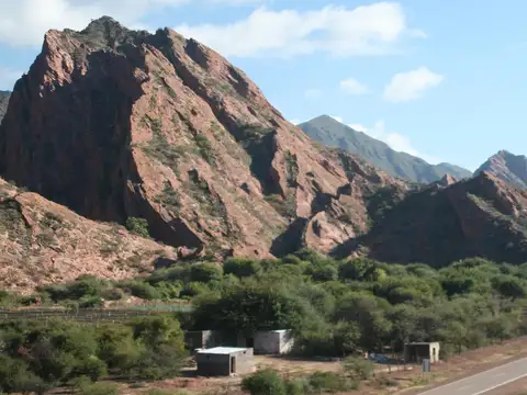 Viñedo en venta - 27.300Mts2 - Salta