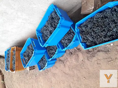 Oficina en Venta A Estrenar
