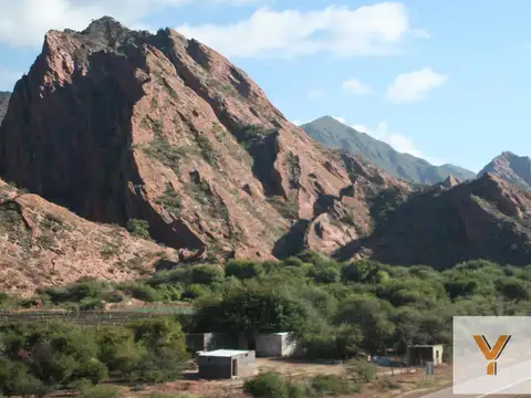 Viñedo en venta - 27.300Mts2 - Salta