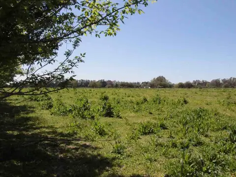 Terreno en Venta en Vicente Casares, USD 2.500.000