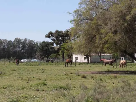 Terreno en Venta de 350000,0 m2