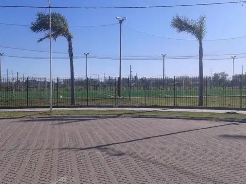 LOS OLMOS 600