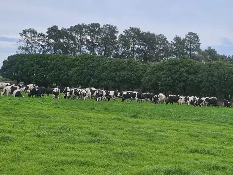 Tambo Establecimiento La Taberna - Viale - Tranquera cerrada