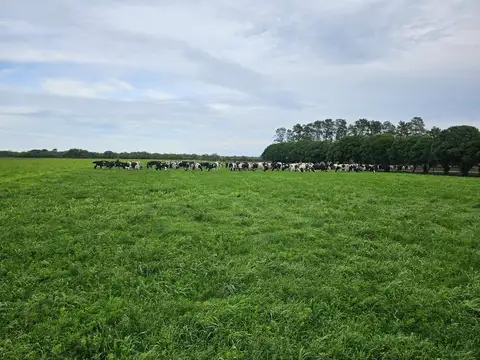 Tambo Establecimiento La Taberna