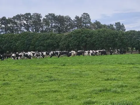 Tambo Establecimiento La Taberna