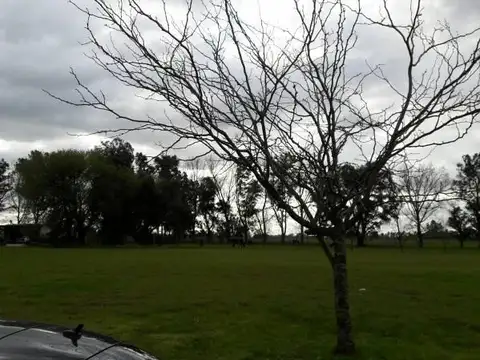 Terreno en Venta en Manzanares, USD 50.000