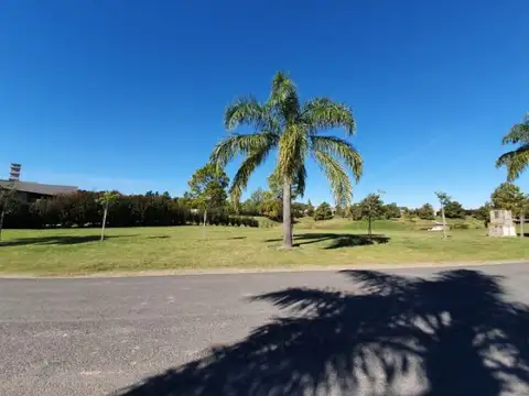 El Solar 45 , Piso No definido