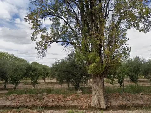 Terreno en Venta en Maipu, USD 520.000