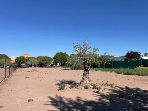 Terreno en Venta de 1200,0 m2