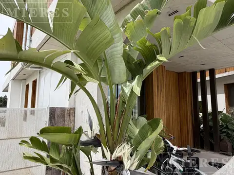 Casa en Alquiler Temporal 1 año