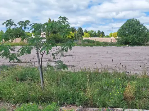 Terreno en Venta 34  mts Fondo