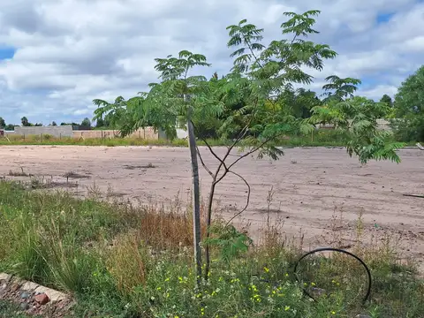 Terreno en Venta 15  mts Frente