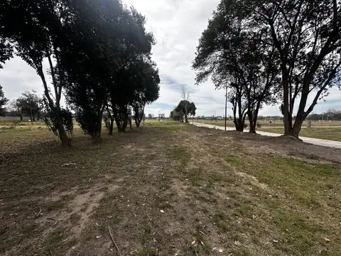 Santa Elena 1051