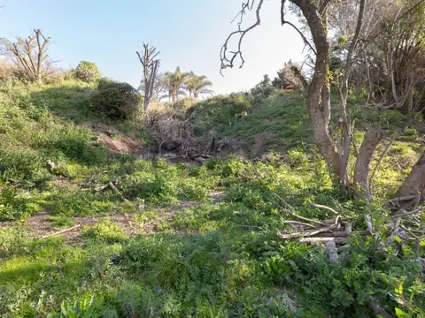 Terreno en Venta de 1780,0 m2