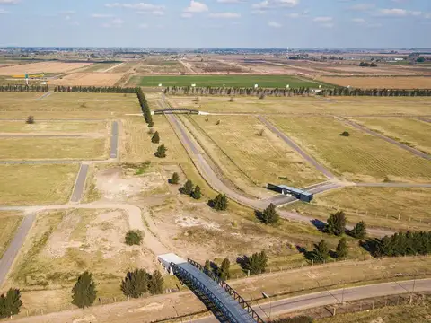 Los Pasos del Jockey 3