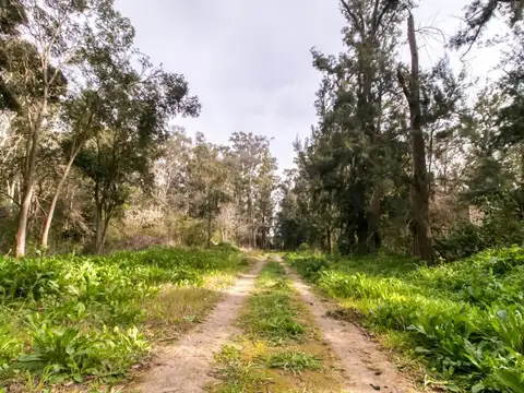 Terreno en Venta de 1050,0 m2