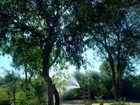 Terreno en Venta de 10045,0 m2