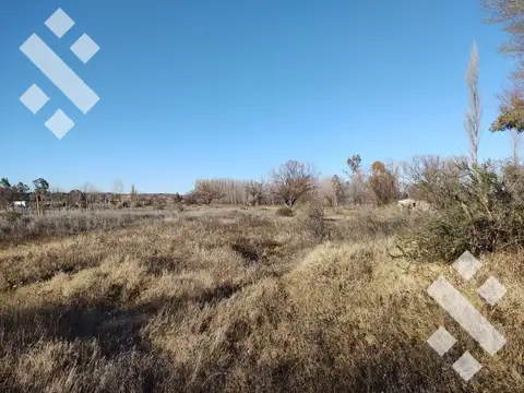 En Venta, Una Hectárea y Media, China muerta, Plottier.