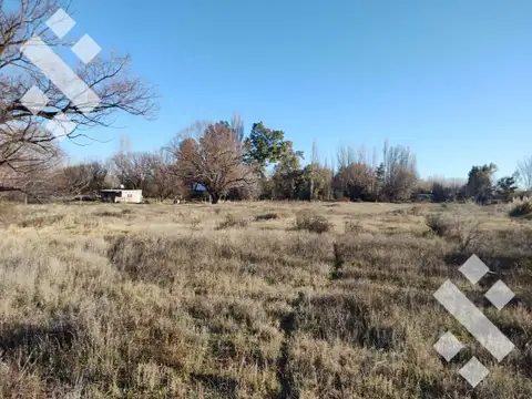 Quinta en Venta en China Muerta, USD 58.000