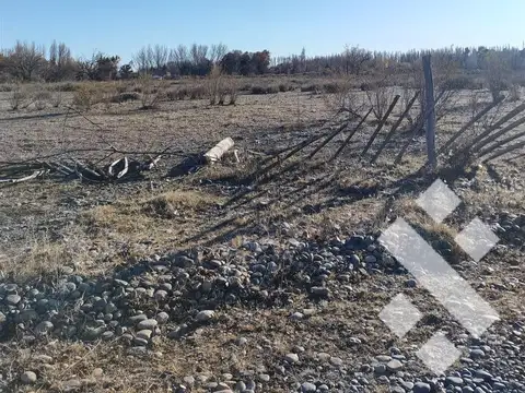 En Venta, Una Hectárea y Media, China muerta, Plottier.