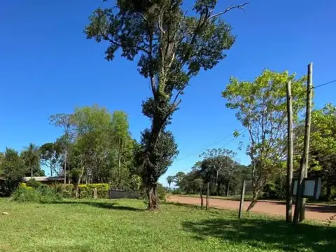 Avenida Carlos Bosetti