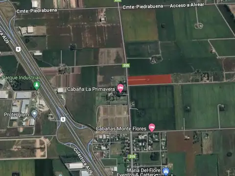 VENTA FRACCIÓN INDUSTRIAL EN ALVEAR 3,9 HA