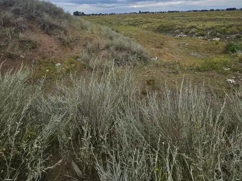 Terrenos en Venta Punta Alta