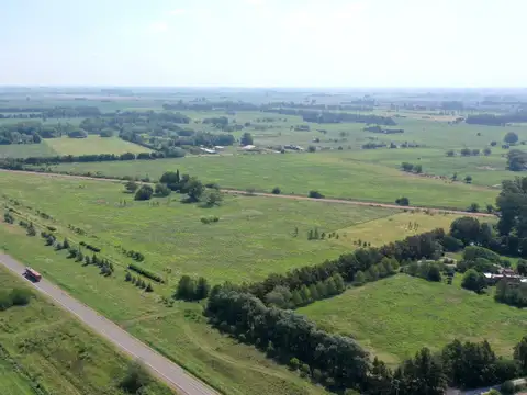 Terreno en Venta de 10000,0 m2