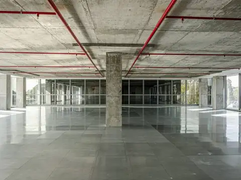 Cecilia Grierson 200, Piso 3