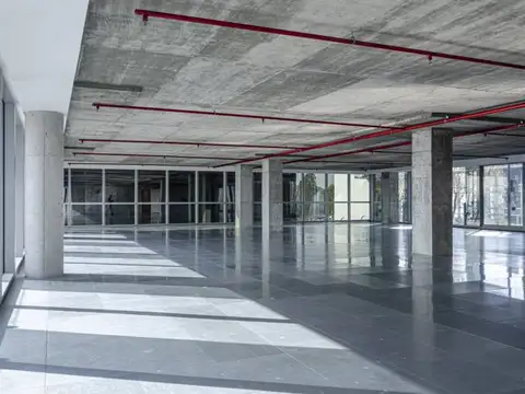 Oficinas corporativas en alquiler - Cecilia Grierson 222 Piso 3 Oficina b