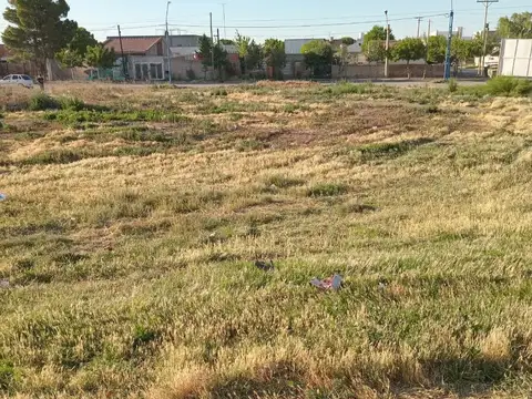 Terreno en venta - 324.90Mts2 - General Roca, Río Negro