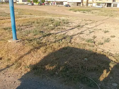 Terreno en Venta 10  mts Frente