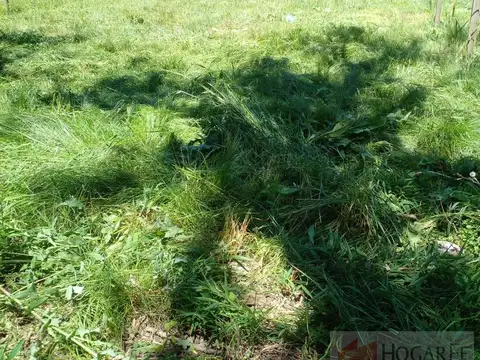 Terreno en Francisco Alvarez