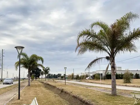 Terreno en Venta 25  mts Frente