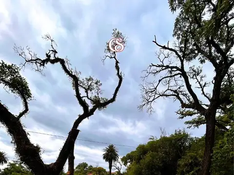 Casa en Alquiler Temporal en Villa San Lorenzo, $ 220