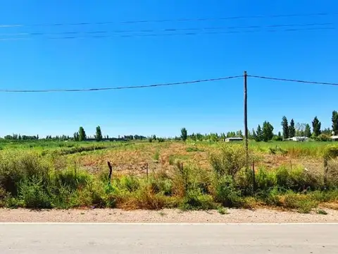 TERRENO 12.500 M2 SALTO DE LAS ROSAS - SAN RAFAEL