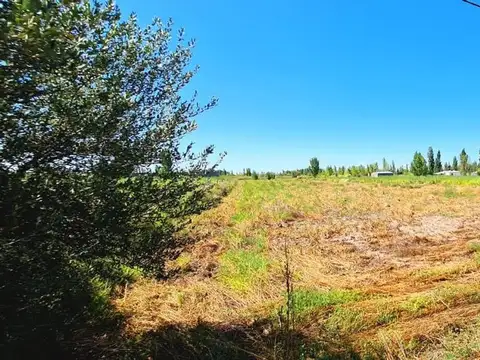 Terreno en Venta de 12500,0 m2