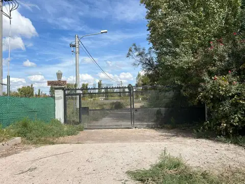 Mariani 11400, Piso 0