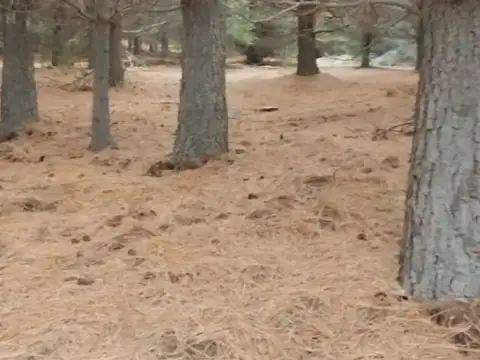 Terreno en Venta en San Martin de los Andes, USD 39.000