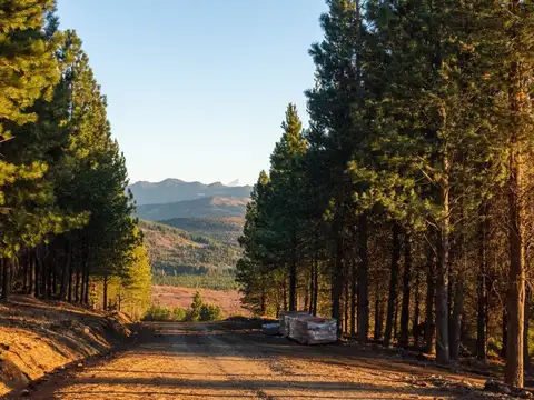 Ruta Nacional 40 km 2200