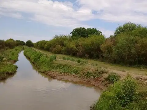 Campo en Estación Robles de 192 hectáreas, apto agricultura y con servicios