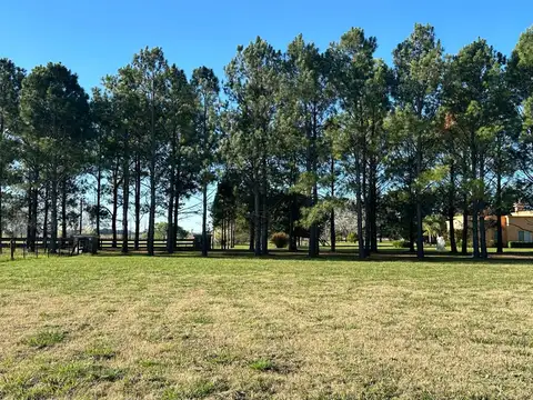 Terreno en Venta de 11090,0 m2