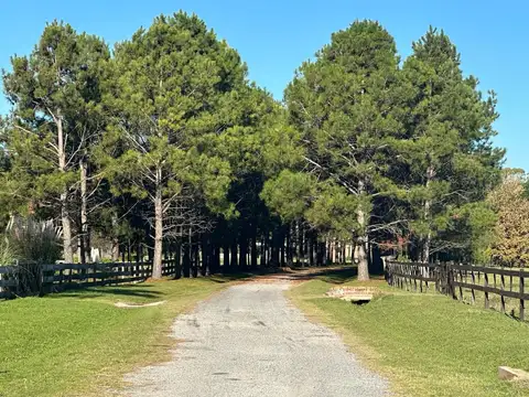 Terreno en Venta en La Macarena, USD 120.000