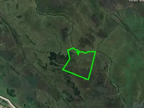 Campo en venta - 226 Hectáreas - Baradero