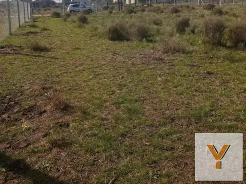 Terreno en Venta 12  mts Frente